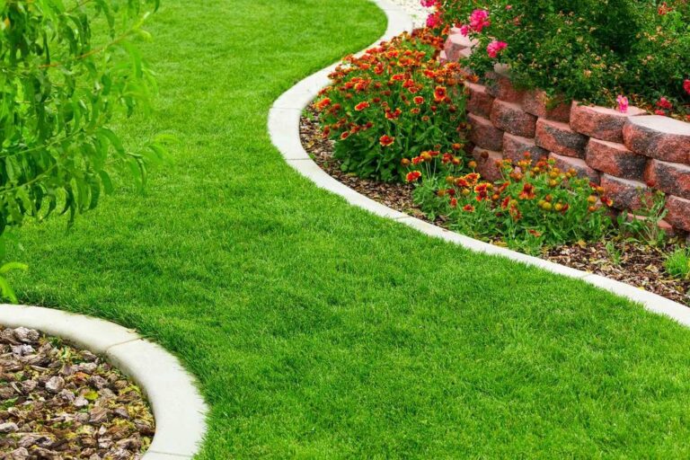 Lawn with curved edging beside a raised flower bed